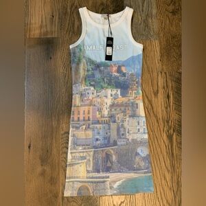 Fashion Nova Bodycon dress